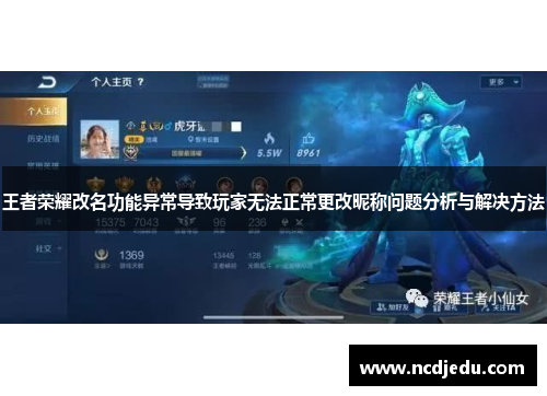 王者荣耀改名功能异常导致玩家无法正常更改昵称问题分析与解决方法